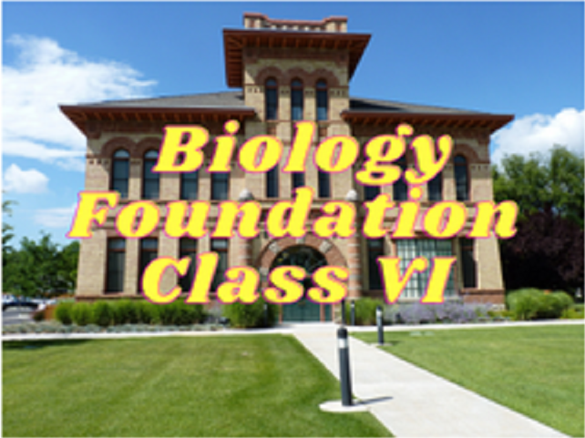 Biology (Foundation) - Class VI